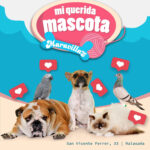 Esta semana celebraremos Mi Querida Mascota, un concurso en el que tu mascota es el o la protagonista!